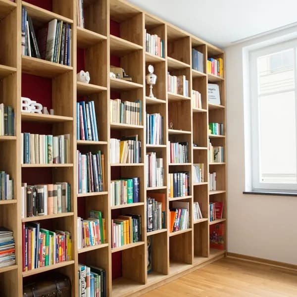 Front view: Industrial Minimalist Bookshelf for home organizers and home decor from Sesoris