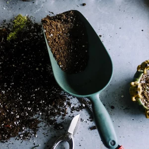 Material detail: Ceramic Plant Pot Set for home organizers and home decor from Sesoris