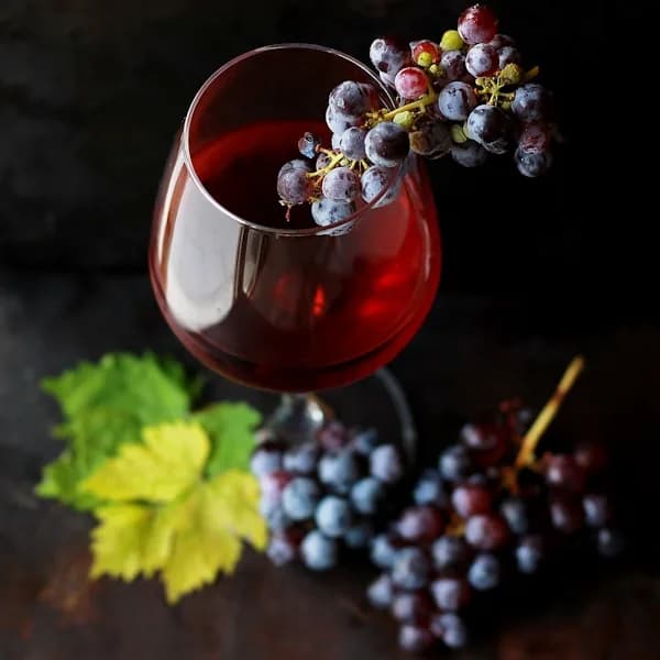 Material detail: Electric Wine Opener for kitchen essentials and kitchen storage from Sesoris