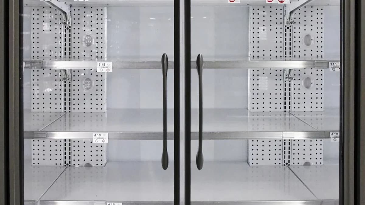 Refrigerator Organizer: How to Arrange Your Fridge Neatly and Save Electricity