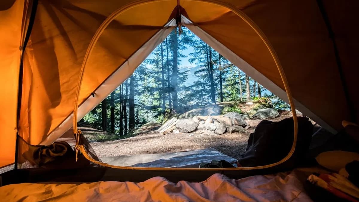 Peralatan Berkebun dan Cara Menyimpannya dengan Rapi