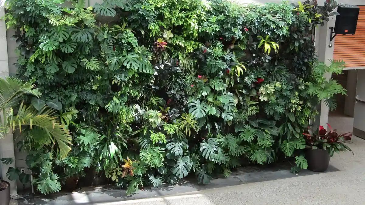 Vertical Garden Guide: Types, Best Plants, Watering and Setup