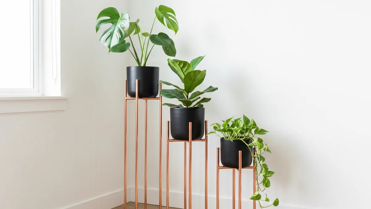 DIY copper pipe plant stands of varying heights with tropical houseplants