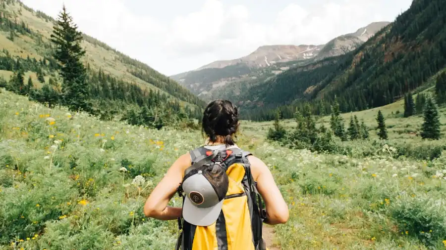 Various types of outdoor bags from daypacks to carriers arranged neatly